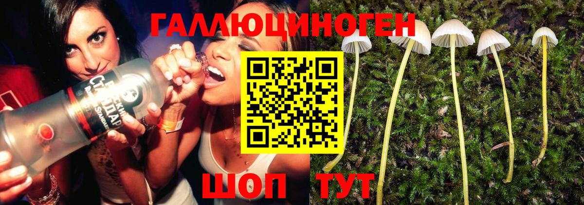 Псилоцибиновые грибы Psilocybe  Вход с VPN  купить наркотик  Псилоцибиновые грибы MAGIC MUSHROOMS  Нижний Новгород 