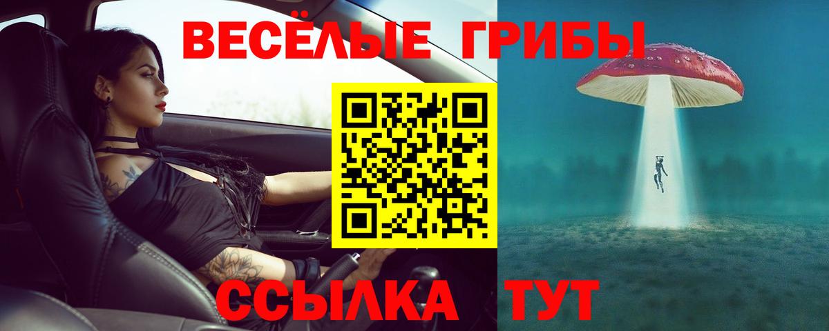 Галлюциногенные грибы GOLDEN TEACHER Нижний Новгород